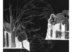 Oneiric Landscape II (Neg), 2011 Digital Print on Light Box 28x28